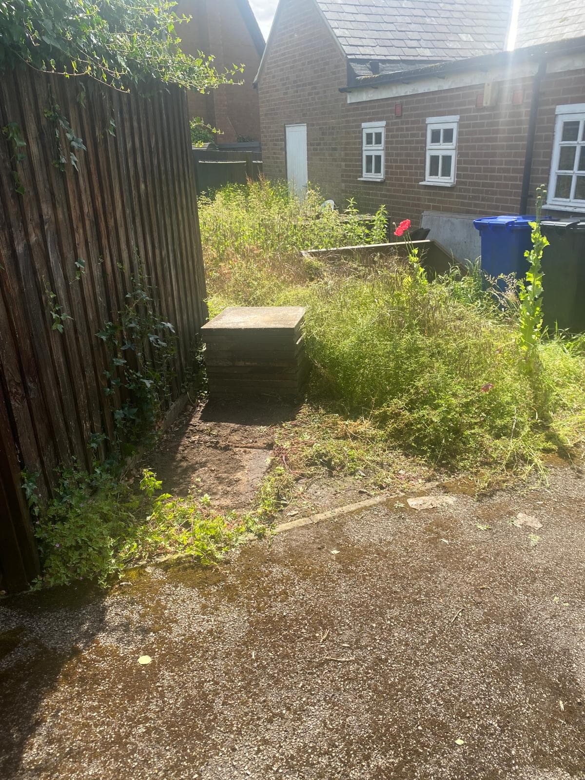 Garden corner cleared of paving slabs and debris